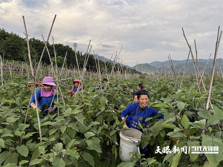 17547080507650.jpg 4.jpg